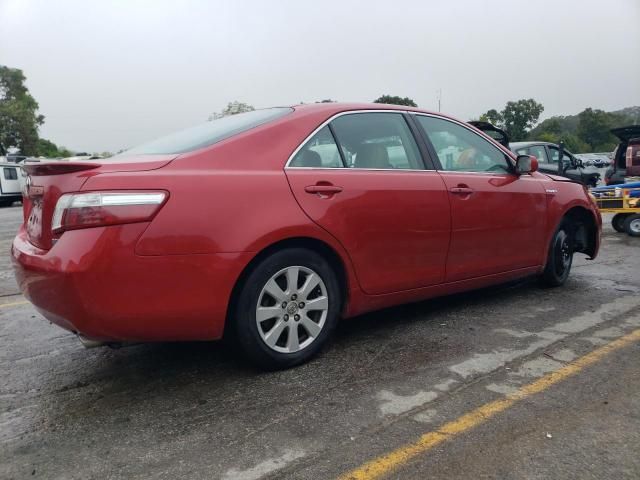 2008 Toyota Camry Hybrid