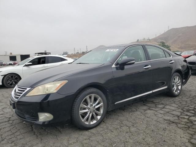 2011 Lexus ES 350