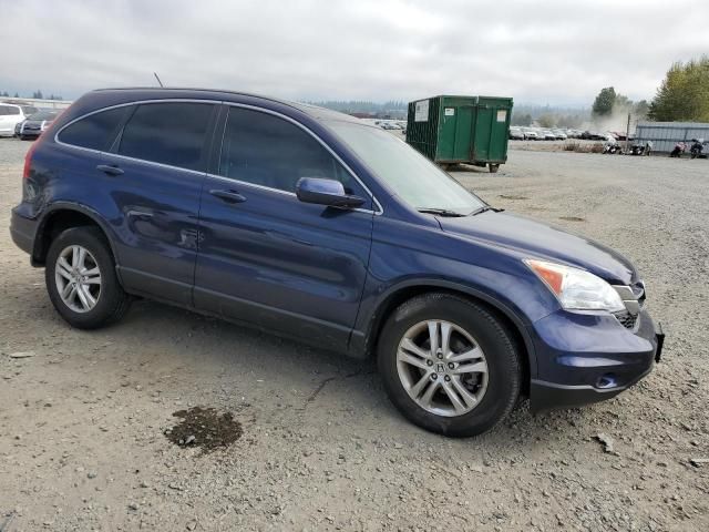 2010 Honda CR-V EXL