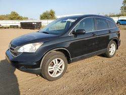 Salvage cars for sale at Columbia Station, OH auction: 2010 Honda CR-V EXL