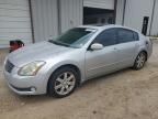 2004 Nissan Maxima SE