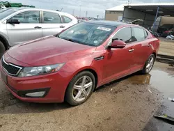 Salvage cars for sale at Brighton, CO auction: 2011 KIA Optima EX