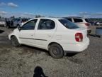 2002 Toyota Echo