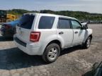 2011 Ford Escape XLS