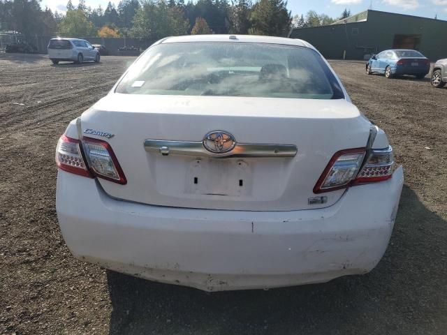 2010 Toyota Camry Hybrid