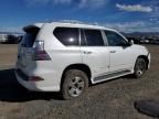 2015 Lexus GX 460