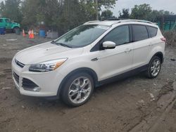 Salvage cars for sale at Baltimore, MD auction: 2013 Ford Escape Titanium