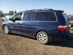 2007 Honda Odyssey EX