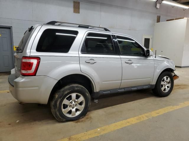 2011 Ford Escape Limited