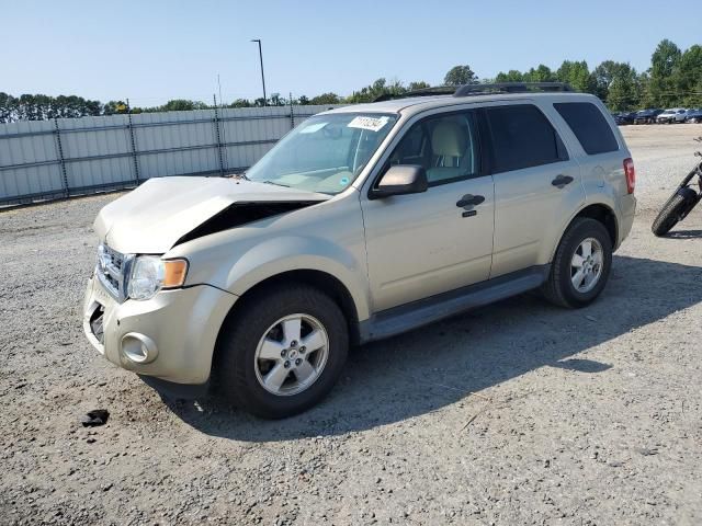 2012 Ford Escape XLT