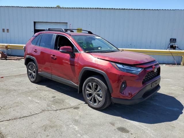 2024 Toyota Rav4 XLE Premium