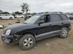 2006 Hyundai Santa FE GLS