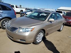 2008 Toyota Camry Hybrid en venta en Brighton, CO