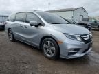 2019 Honda Odyssey EXL