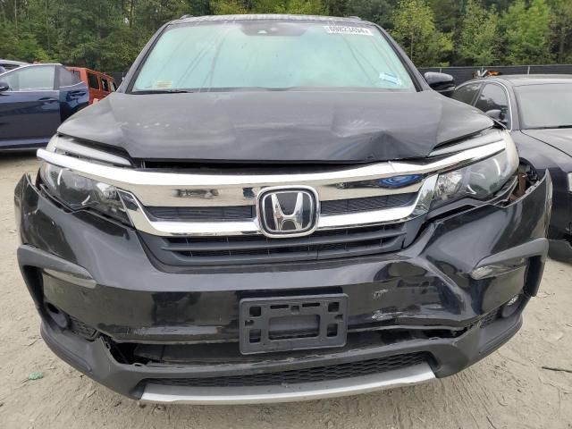 2019 Honda Pilot EXL