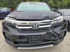 2019 Honda Pilot EXL