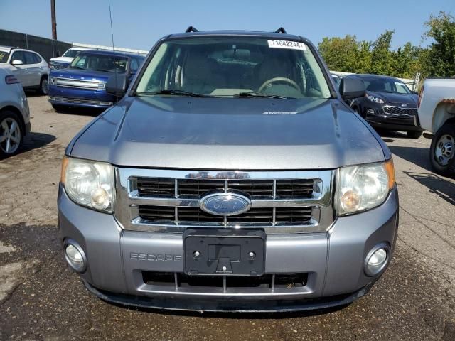 2008 Ford Escape XLT