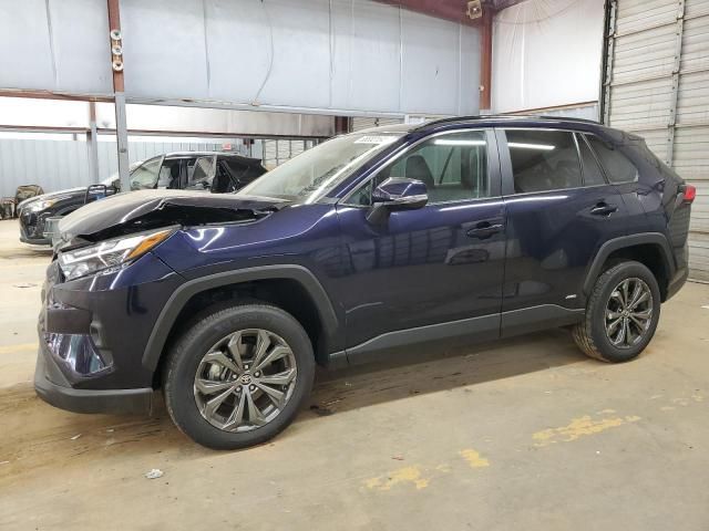 2023 Toyota Rav4 XLE Premium