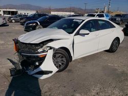 Hyundai salvage cars for sale: 2024 Hyundai Elantra SEL