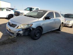 Salvage cars for sale at Tucson, AZ auction: 2010 Toyota Corolla Base