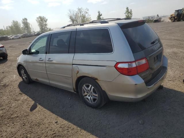 2005 Honda Odyssey EXL