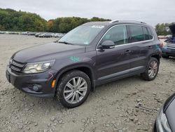 Salvage cars for sale at Windsor, NJ auction: 2016 Volkswagen Tiguan S