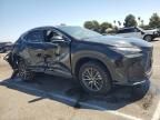 2024 Lexus NX 250 Base