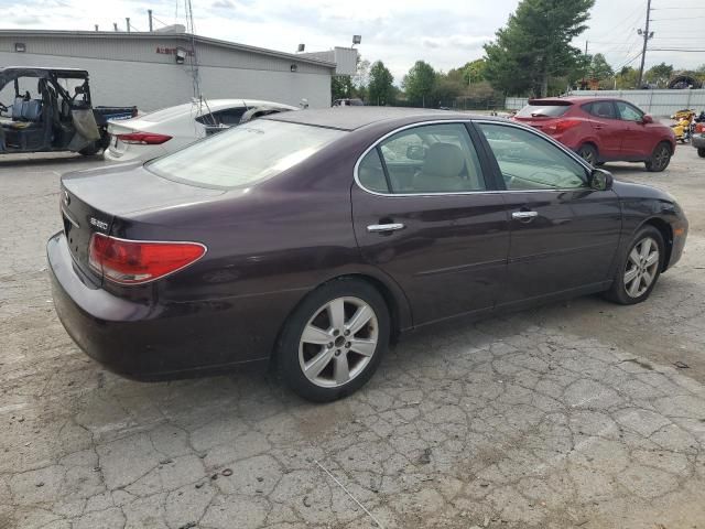 2005 Lexus ES 330