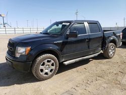 Salvage trucks for sale at Greenwood, NE auction: 2009 Ford F150 Supercrew