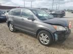 2011 Honda CR-V EXL