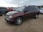 2007 Chevrolet Trailblazer LS