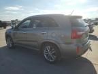 2014 KIA Sorento SX