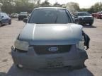 2007 Ford Escape XLT