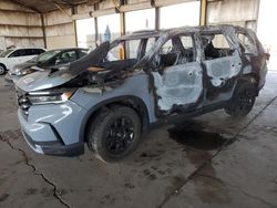 Honda salvage cars for sale: 2023 Honda Pilot Trailsport