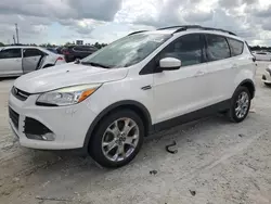 Salvage cars for sale at Arcadia, FL auction: 2014 Ford Escape SE