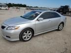 2009 Toyota Camry SE