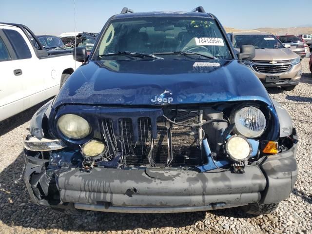 2005 Jeep Liberty Renegade