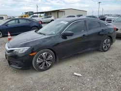 Salvage cars for sale from Copart Temple, TX: 2018 Honda Civic EXL