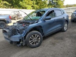 Salvage cars for sale at Center Rutland, VT auction: 2020 Ford Escape SE