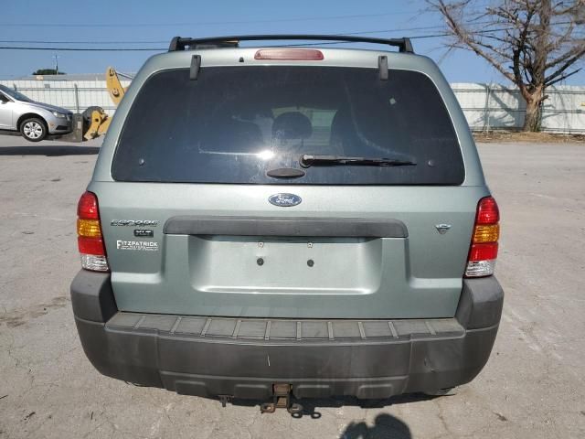 2007 Ford Escape XLT