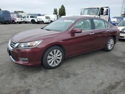 Salvage cars for sale at Hayward, CA auction: 2013 Honda Accord EX