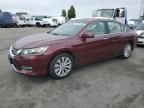 2013 Honda Accord EX