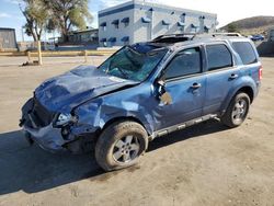 Salvage cars for sale at Albuquerque, NM auction: 2010 Ford Escape XLT