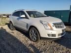 2010 Cadillac SRX Premium Collection