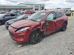 Salvage cars for sale at Earlington, KY auction: 2020 Ford Escape SE