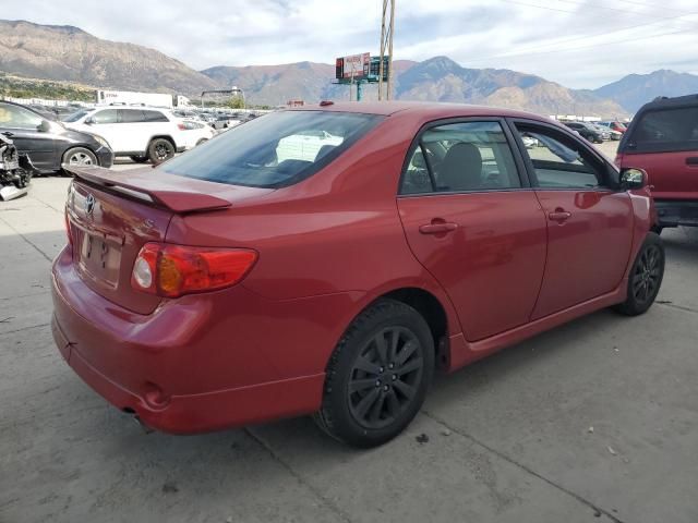 2010 Toyota Corolla Base