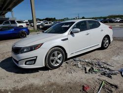 Salvage cars for sale at West Palm Beach, FL auction: 2015 KIA Optima LX