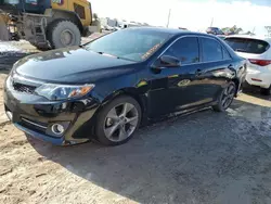 Toyota salvage cars for sale: 2013 Toyota Camry SE