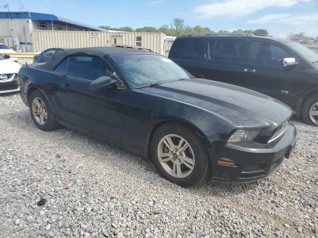 2013 Ford Mustang