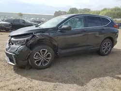 Salvage cars for sale at Davison, MI auction: 2020 Honda CR-V EXL